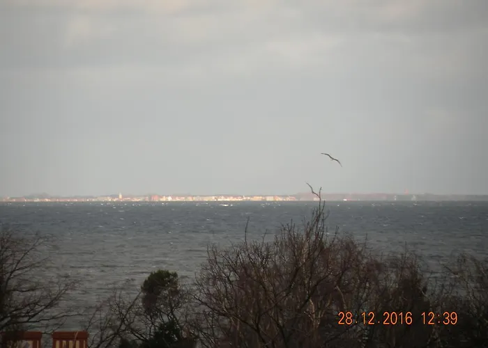 Daire Z Widokiem Na Morze